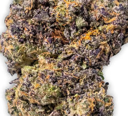 Sharpie(Hybrid)