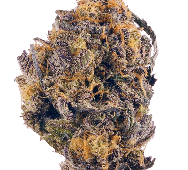 Huckleberry Soda(Hybrid)