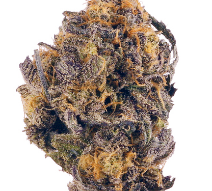 Huckleberry Soda(Hybrid)