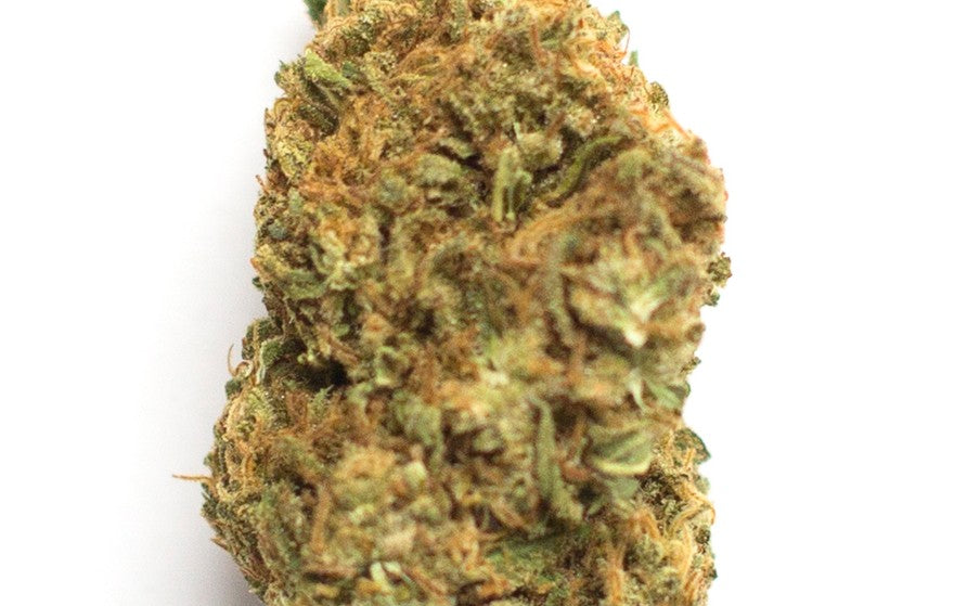 Ice Cream Cake(Hybrid)
