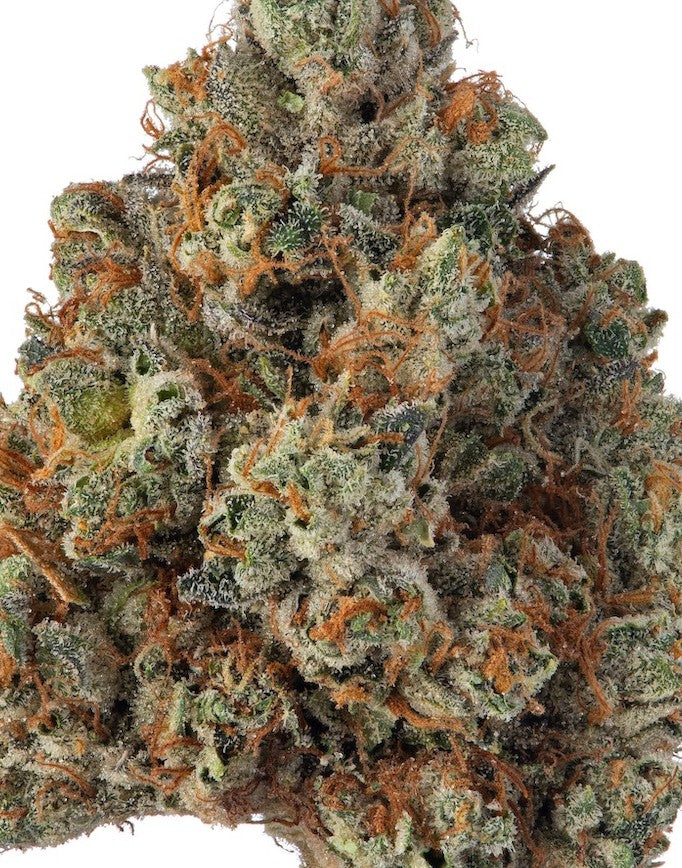 Texas Pound Cake(Hybrid)