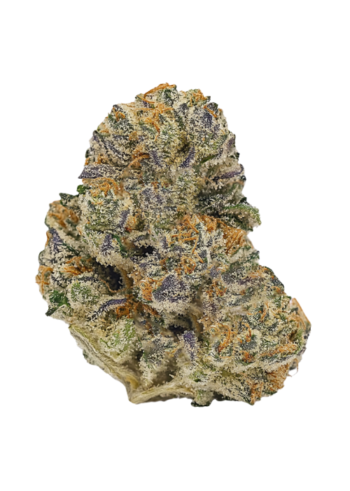 LA Diamonds (Hybrid)