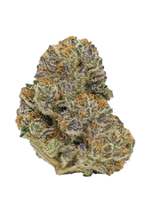 LA Diamonds (Hybrid)