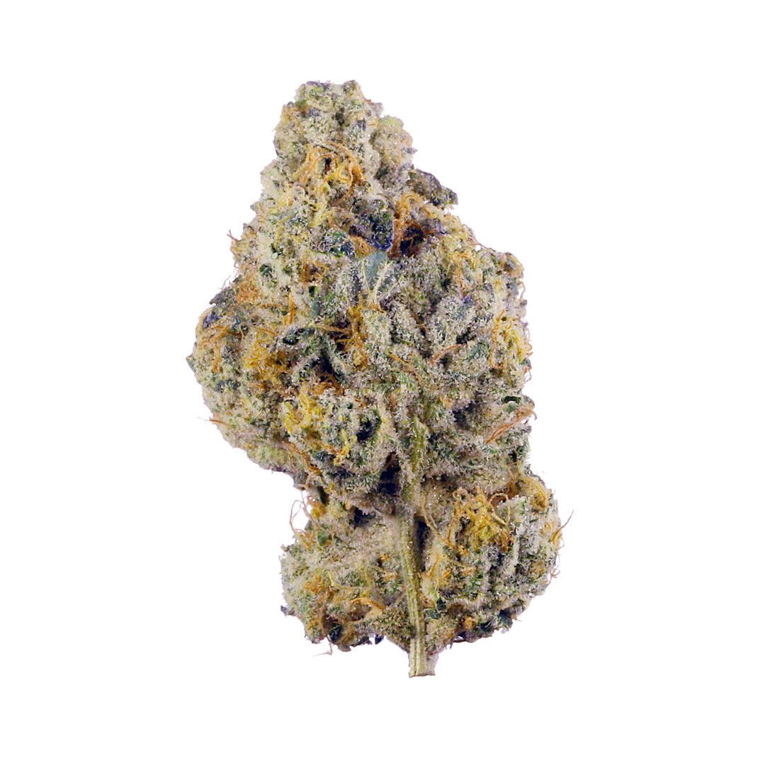 Cake Pop(Hybrid)