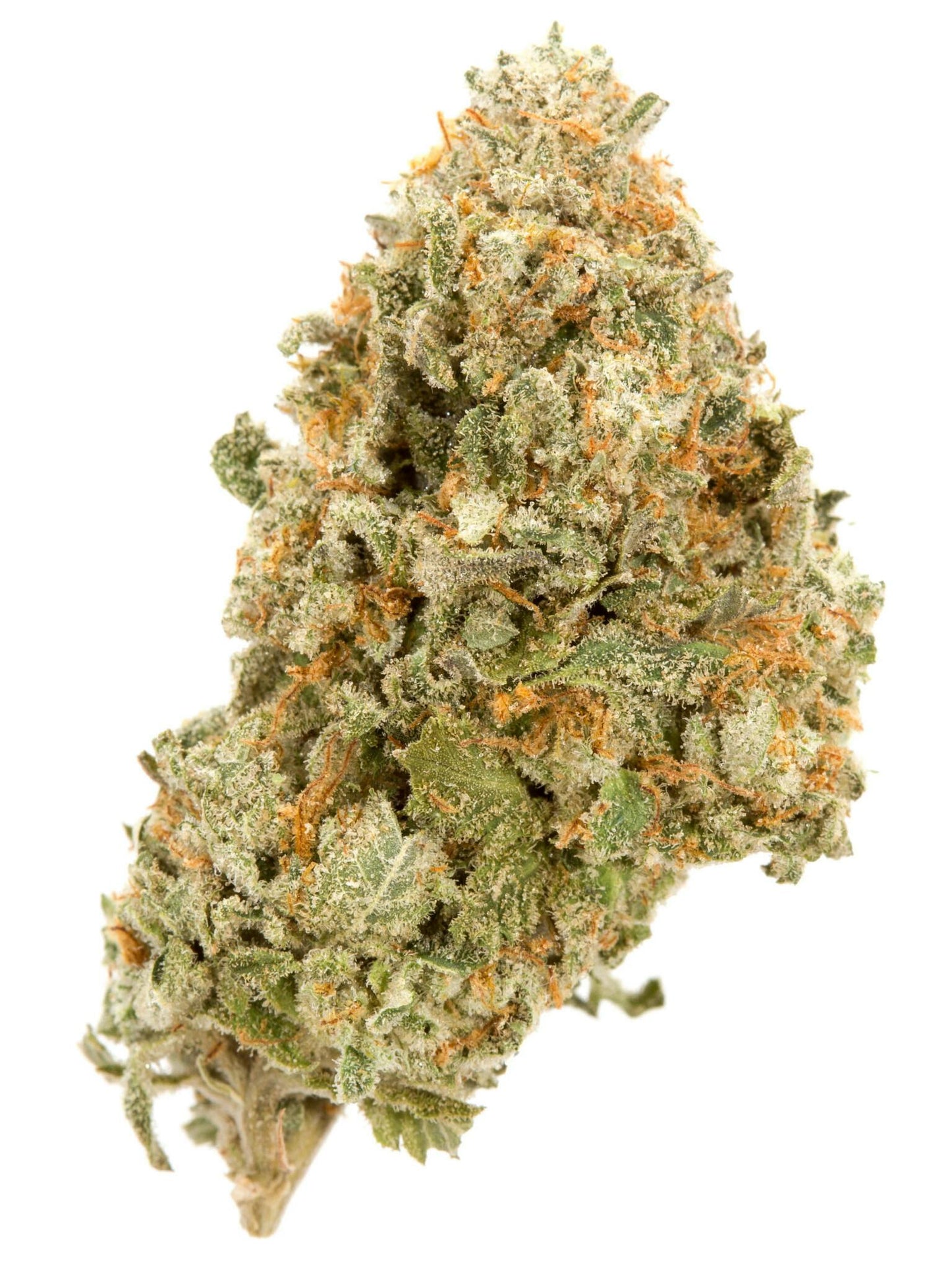 Orange Runtz (Hybrid)