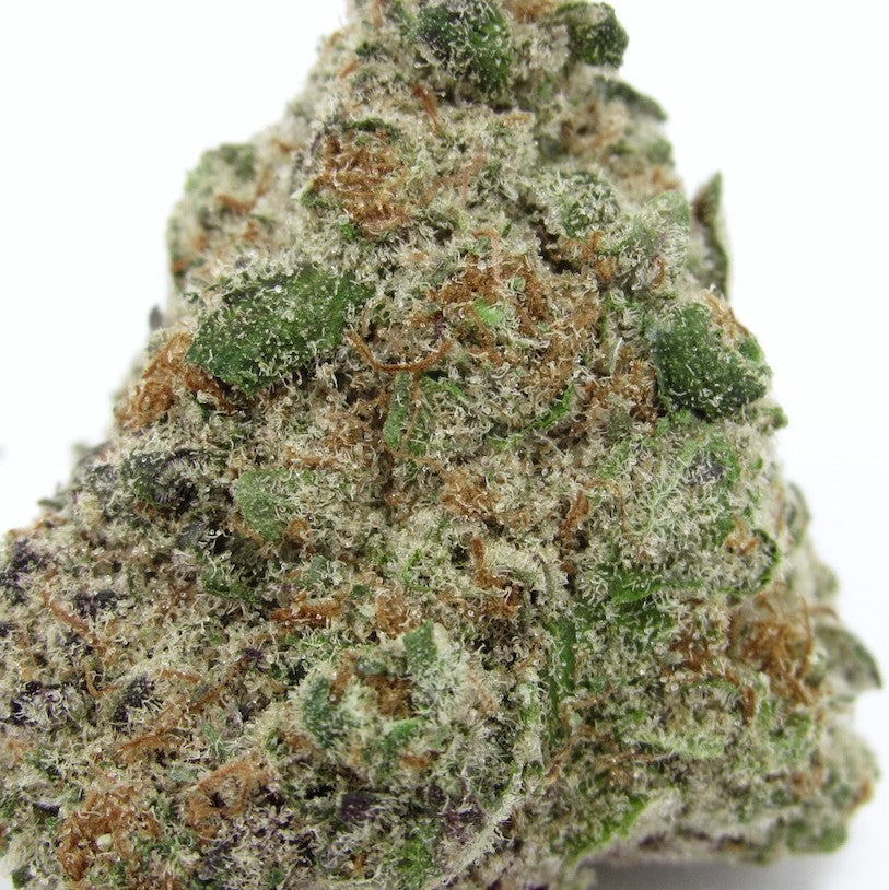 Pink Certz(Hybrid)