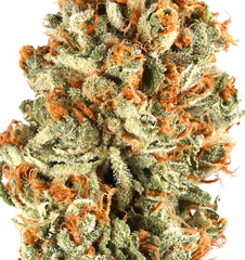 Platinum OG(Indica)