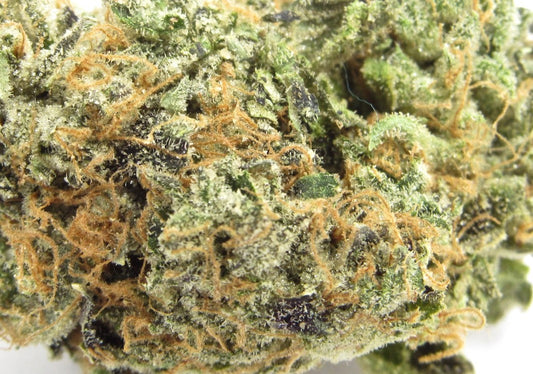 Blue Zushi(Indica dom. Hybrid)