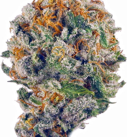 ADL Runtz(Hybrid) - close up detail