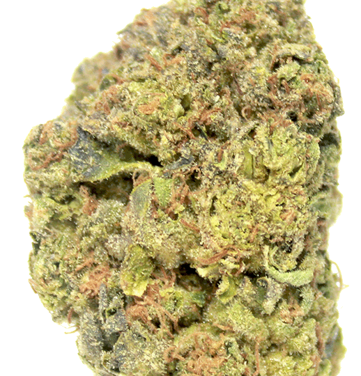 Black Maple(Hybrid) THC-A hemp flower - ExoticsDispo