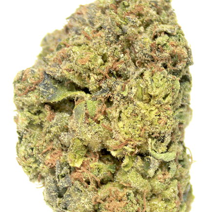 Black Maple(Hybrid) THC-A hemp flower - ExoticsDispo