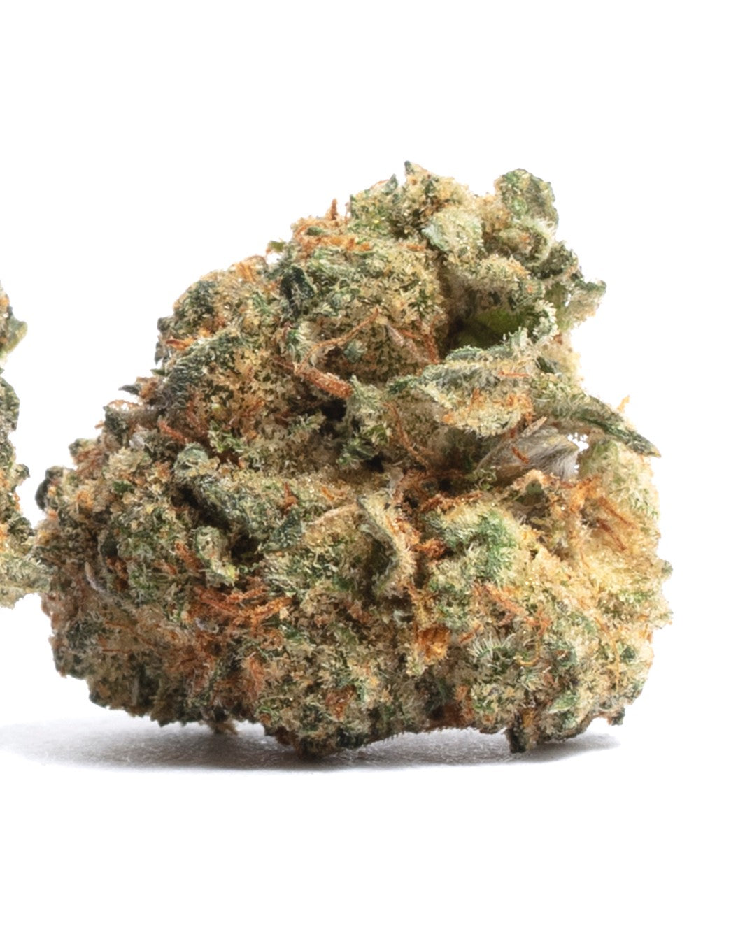 Panty Dropper(Indica)