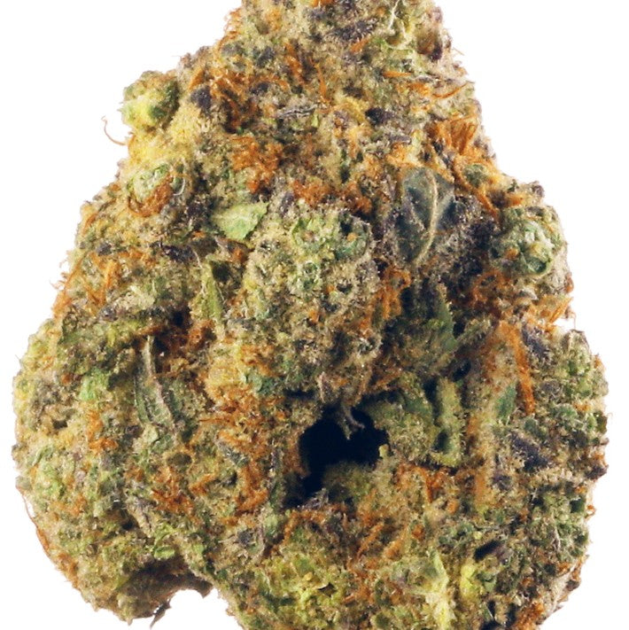 Bolo Runtz(Hybrid)