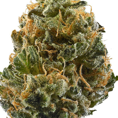 Tropical Storm(Hybrid)