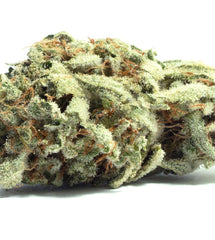 Silver Haze(Sativa)