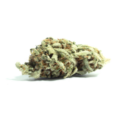 Silver Haze(Sativa)