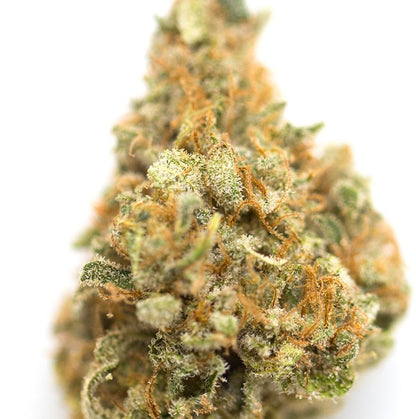 Grape Pie(Indica Dom. Hybrid)