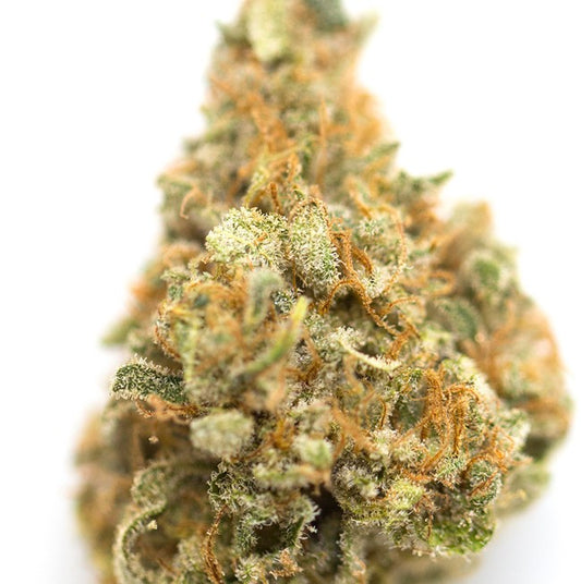 Grape Pie(Indica Dom. Hybrid)