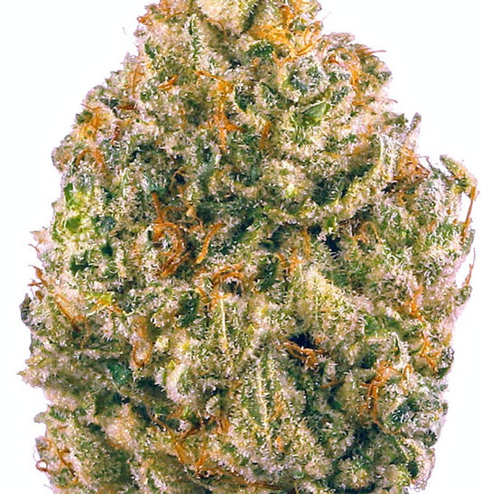 Space Runtz(Hybrid)