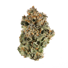 Blockberry(Hybrid)
