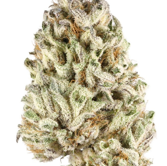 Biscotti(Hybrid) THC-A hemp flower - ExoticsDispo
