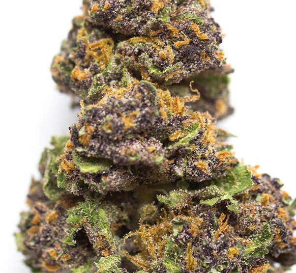 Sour Patch Runtz(Sativa)