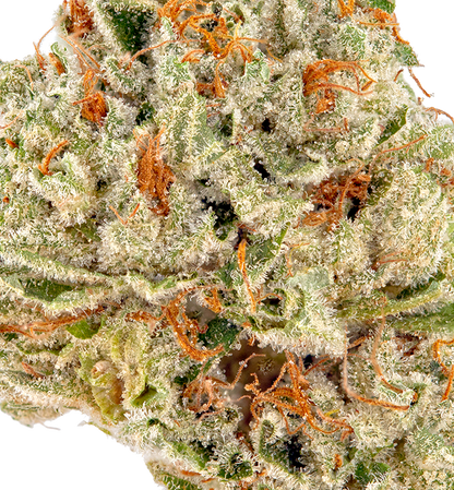 French Toast(Indica Dom. Hybrid)