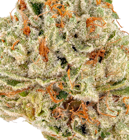 French Toast(Indica Dom. Hybrid)
