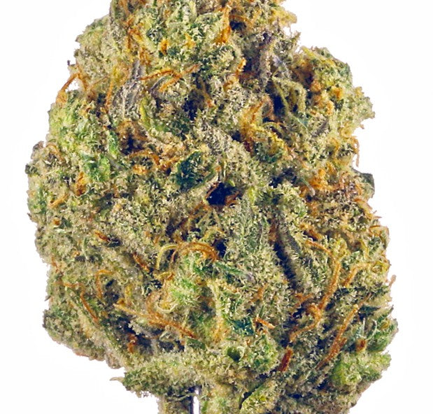 Black Cherry Runtz (Hybrid) THC-A hemp flower - ExoticsDispo