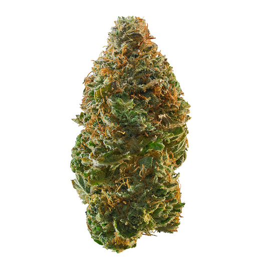 Gelato Pop (Hybrid) - Main Image