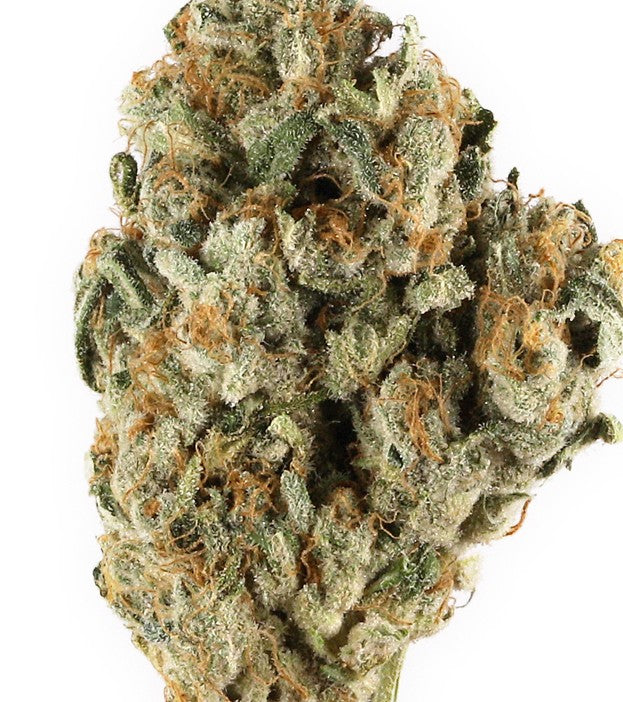 MAC 11(Hybrid)