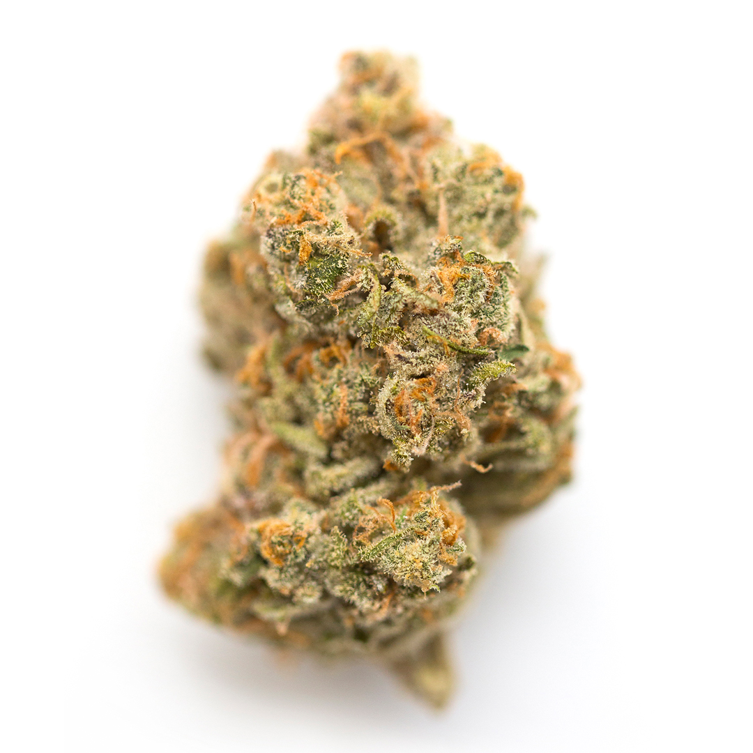 Hash Burger(Hybrid)
