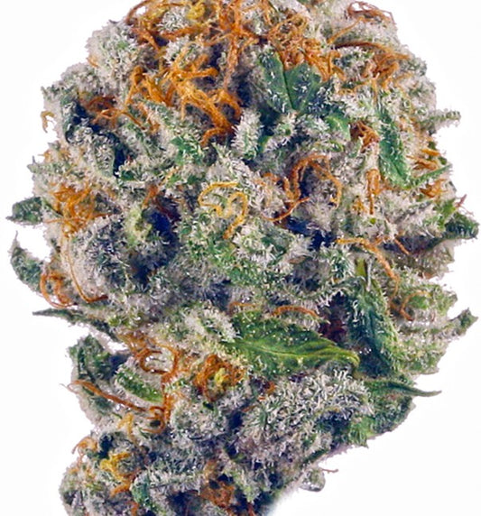 Rainbow Belts(Indica Dom. Hybrid)