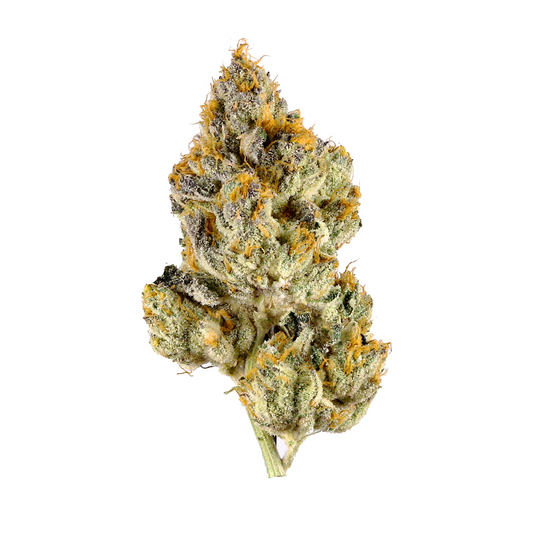 Zereal(Hybrid)