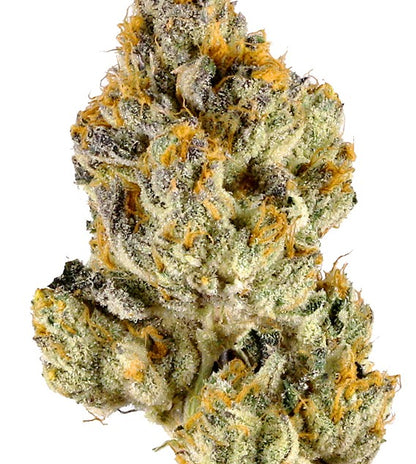 Zereal(Hybrid)