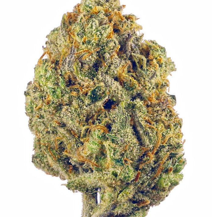 Oreoz(Hybrid)