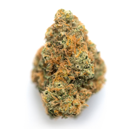 Orange Juice(Hybid)