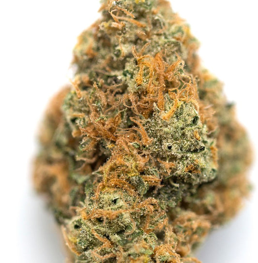 Orange Juice(Hybid)