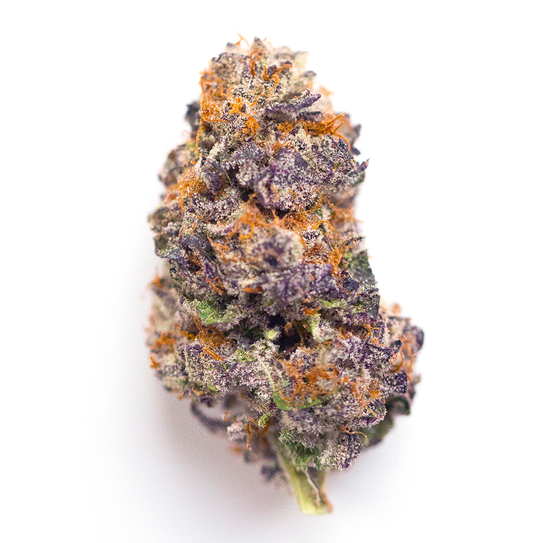 Wonka Bars(Hybrid)