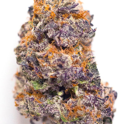 Wonka Bars(Hybrid)