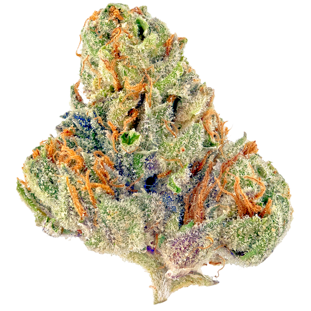 Mitten Cake(Hybrid)