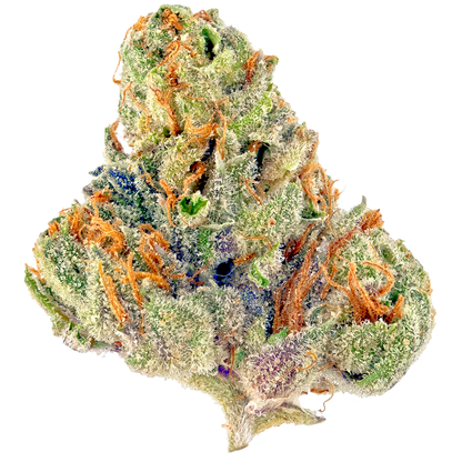 Mitten Cake(Hybrid)