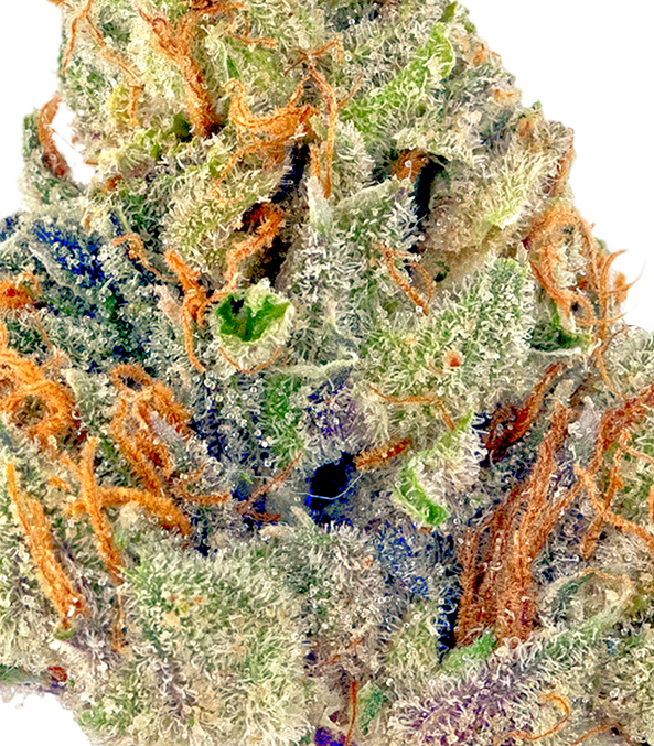Mitten Cake(Hybrid)