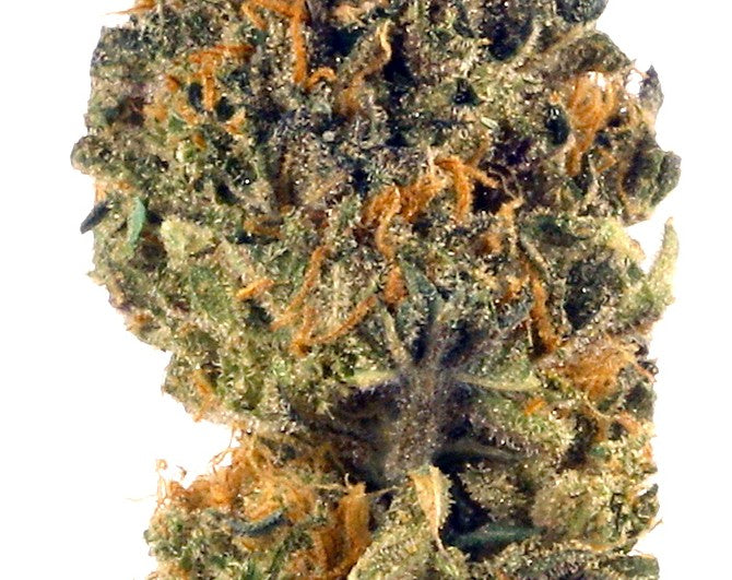 LA Kush Cake(Hybrid)