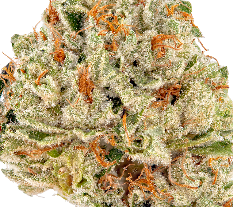 Strawberry Nerdz(Hybrid)