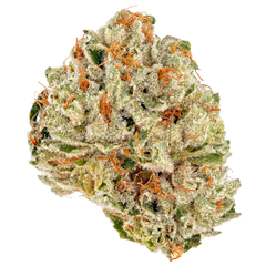 Strawberry Nerdz(Hybrid)