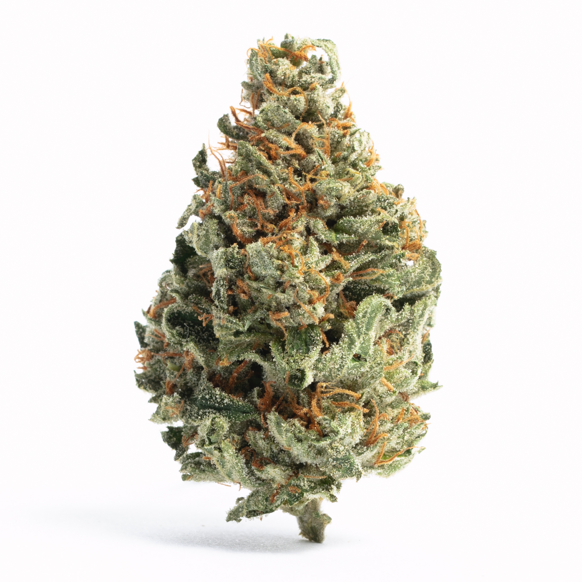 White Runtz (Hybrid)