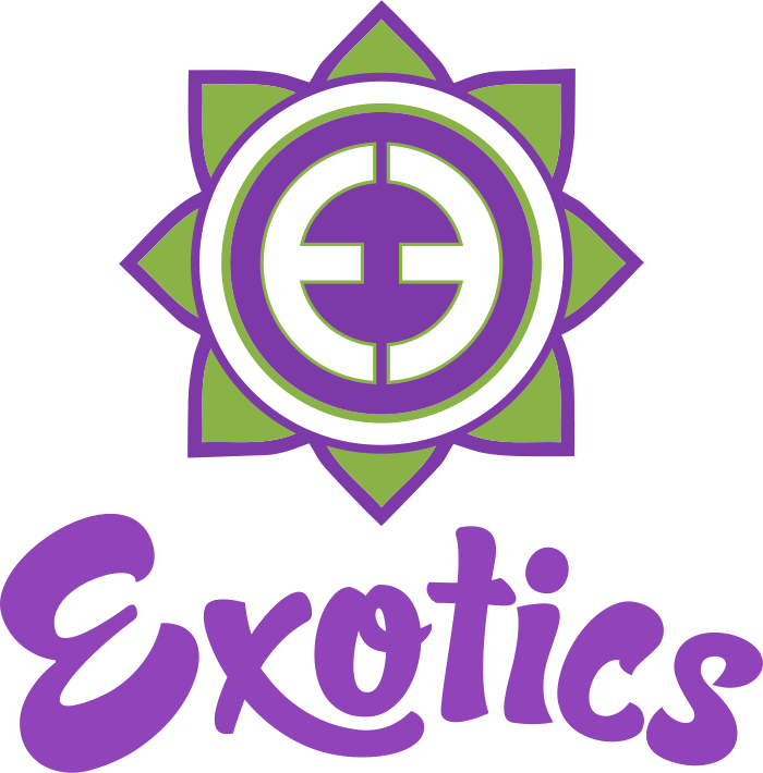 Exotics THCA Tincture 1,000MG Review: Premium High-Potency Drops ...