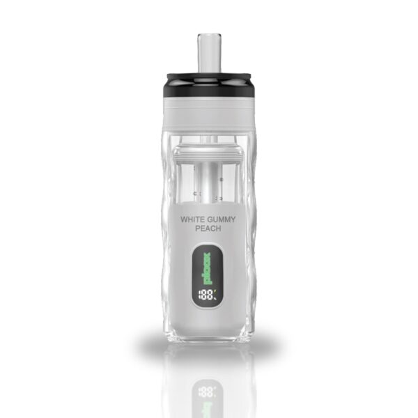 Ploox Mini Hookah 25K Disposable Vape