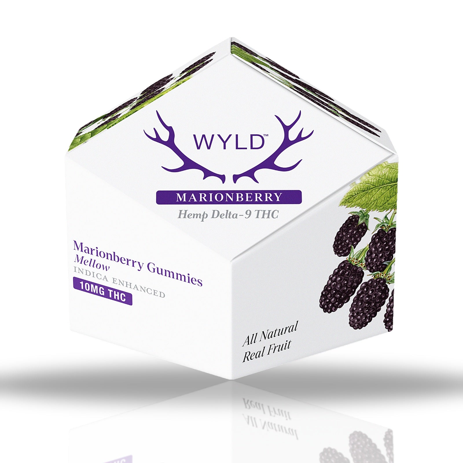Wyld Delta-9 THC gummies 10ct box, 100MG per package — Marionberry (Mellow)